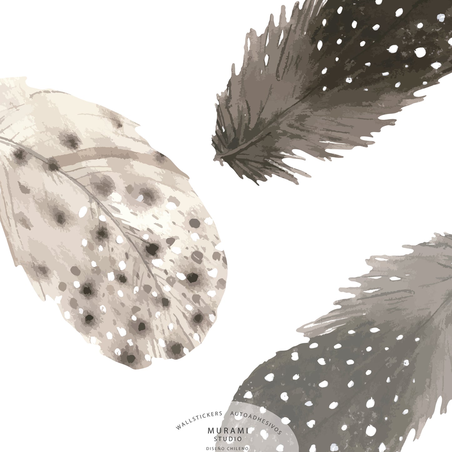 Pluma Circular
