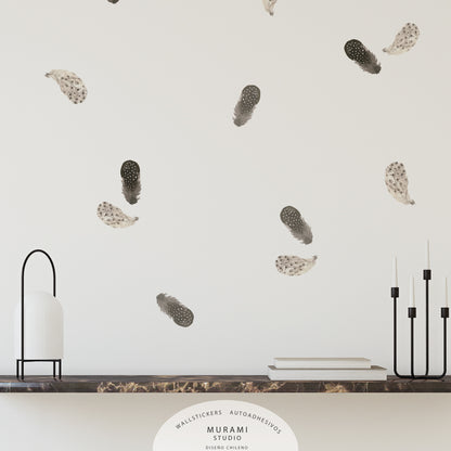 Pluma Circular