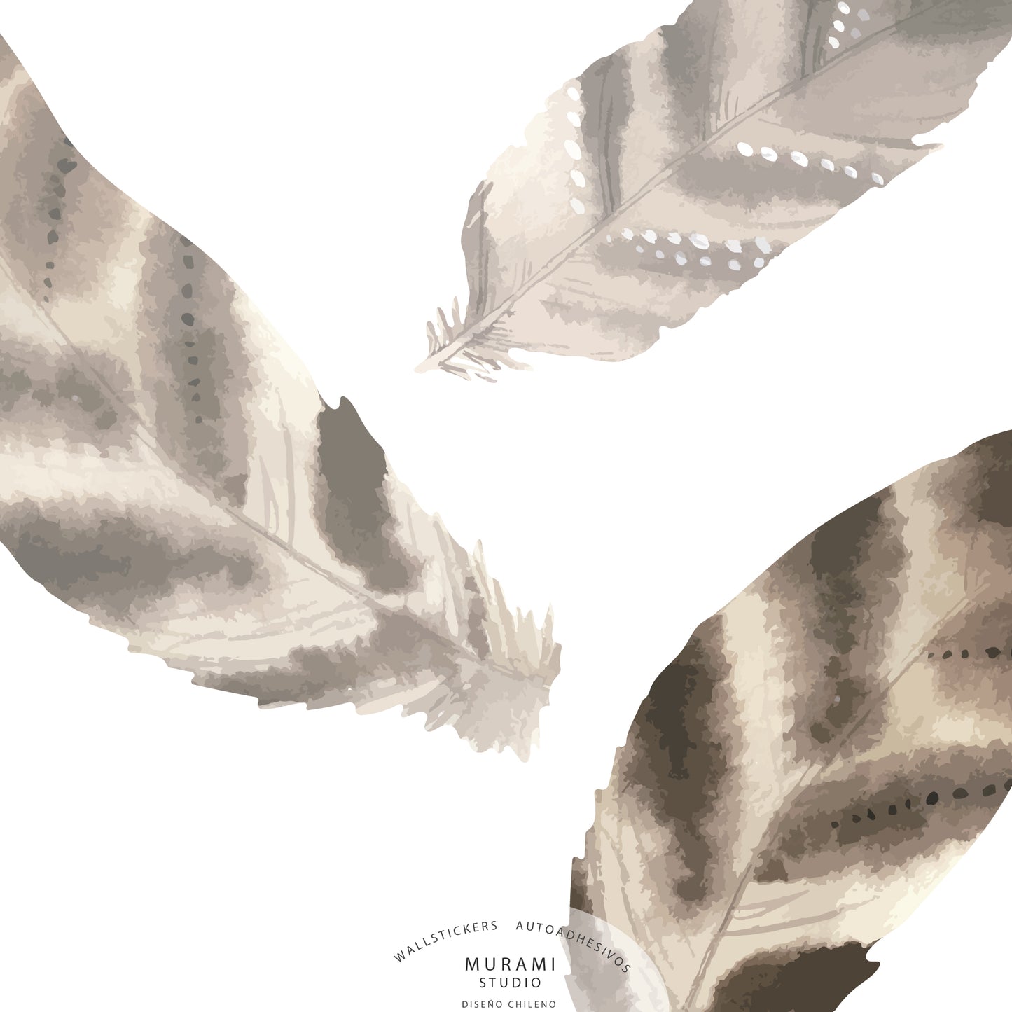 Pluma Angular