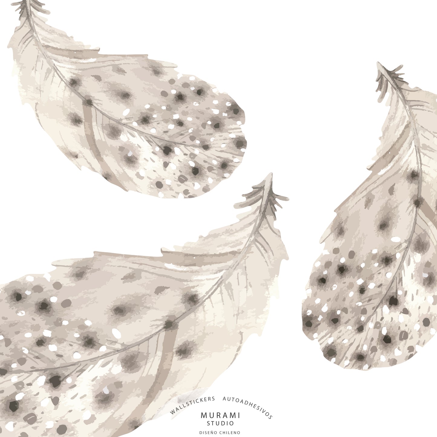 Pluma Circular