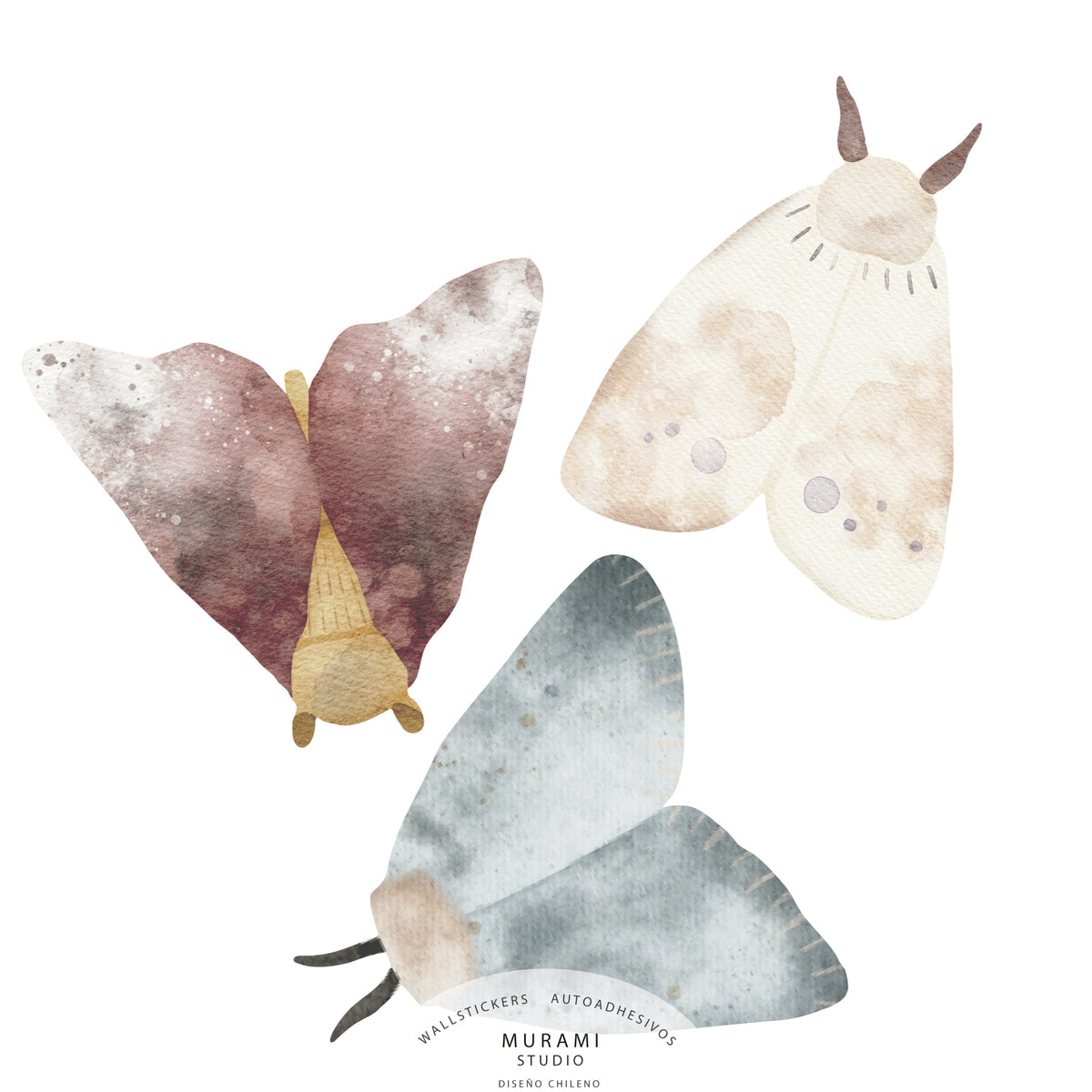 Polilla