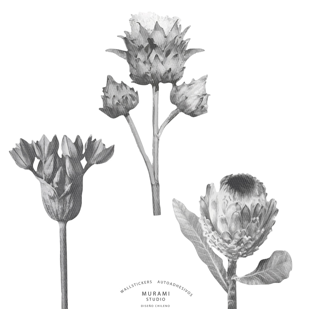 Protea